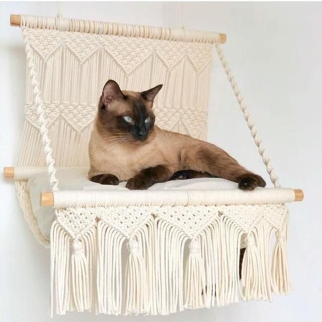 Pet kolekcija — makrame ogrlica i povodac